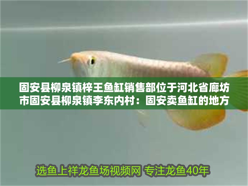 龍魚干蝦有營養嗎 固安縣柳泉鎮梓王魚缸銷售部位于河北省廊坊市固安縣柳泉鎮李東內村:固安賣魚缸的地方 魚缸百科 固安縣柳泉鎮梓王魚缸銷售部位于河北省廊坊市固安縣柳泉鎮李東內村:固安賣魚缸的地方 固安縣柳泉鎮梓王魚缸銷售部位于河北省廊坊市固安縣柳泉鎮李東內村:固安賣魚缸的地方 魚缸百科