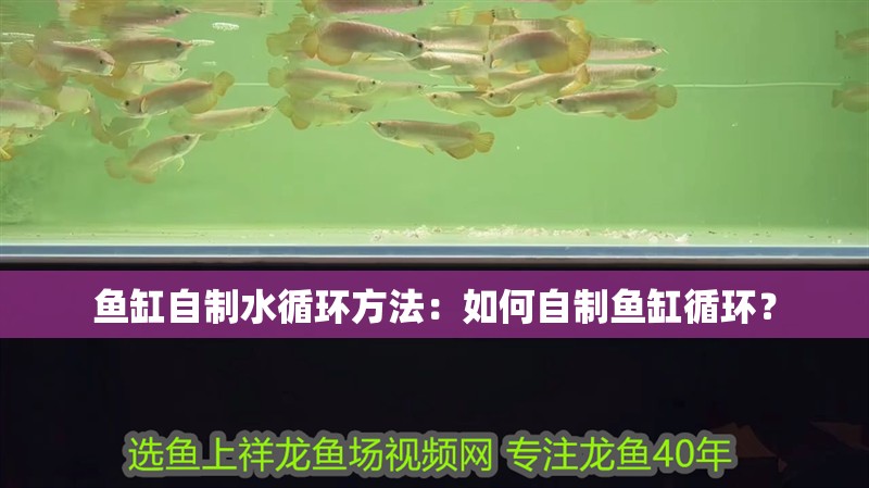 魚缸自制水循環方法：如何自制魚缸循環？