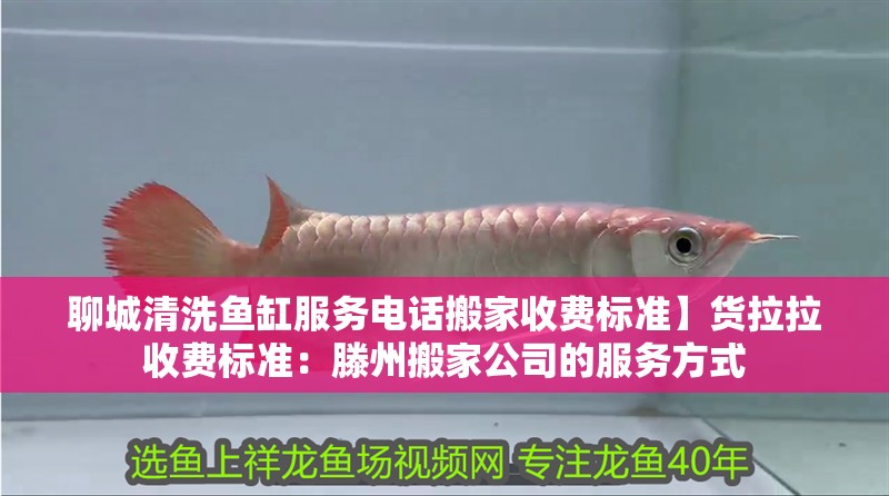 聊城清洗魚缸服務電話搬家收費標準】貨拉拉收費標準：滕州搬家公司的服務方式