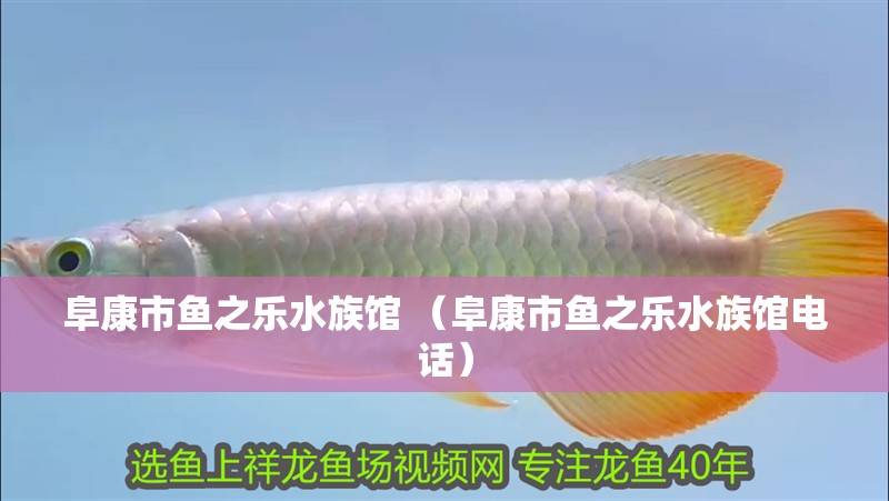 阜康市魚之樂水族館 （阜康市魚之樂水族館電話）