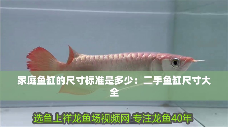 家庭魚(yú)缸的尺寸標(biāo)準(zhǔn)是多少：二手魚(yú)缸尺寸大全