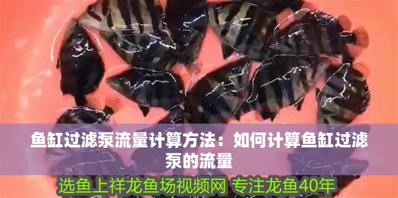 魚缸過濾泵流量計算方法：如何計算魚缸過濾泵的流量