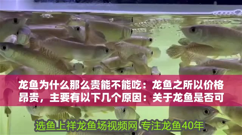 龍魚為什么那么貴能不能吃：龍魚之所以價格昂貴，主要有以下幾個原因：關于龍魚是否可以食用