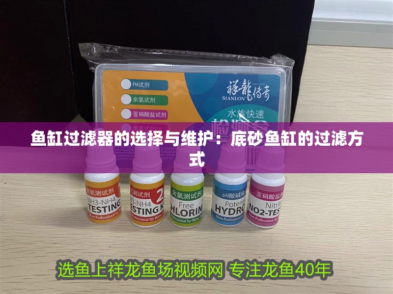 鸚鵡魚和銀龍魚混養怎樣喂食 魚缸過濾器的選擇與維護:底砂魚缸的過濾方式 魚缸百科 魚缸過濾器的選擇與維護:底砂魚缸的過濾方式 魚缸過濾器的選擇與維護:底砂魚缸的過濾方式 魚缸百科