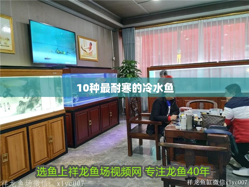 10種最耐寒的冷水魚(yú)
