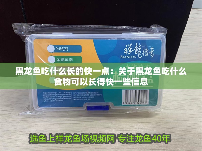 黑龍魚吃什么長的快一點：關(guān)于黑龍魚吃什么食物可以長得快一些信息 黑龍魚吃什么長的快一點：關(guān)于黑龍魚吃什么食物可以長得快一些信息 龍魚百科