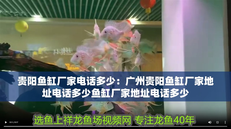貴陽魚缸廠家電話多少：廣州貴陽魚缸廠家地址電話多少魚缸廠家地址電話多少