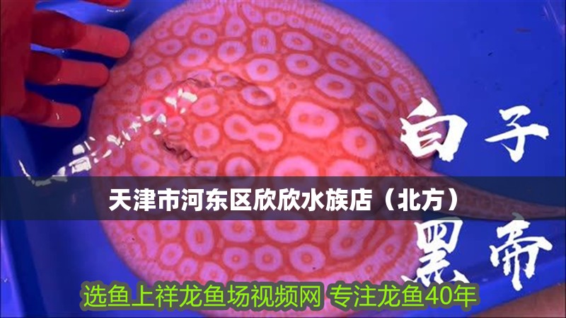 天<strong><mark>津市</mark></strong>河東區欣欣水族店（北方）