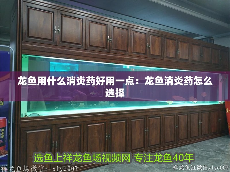 龍魚用什么消炎藥好用一點：龍魚消炎藥怎么選擇