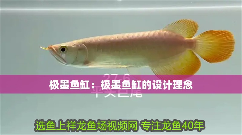 極墨魚缸：極墨魚缸的設計理念