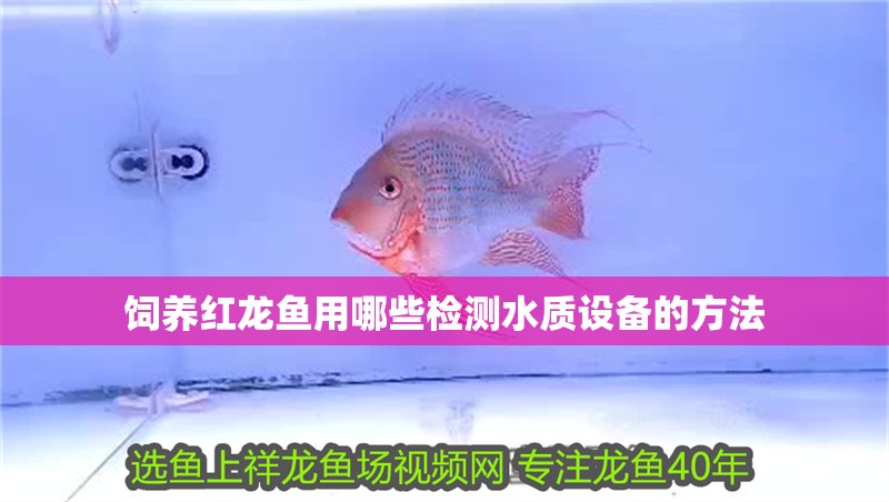 飼養(yǎng)紅龍魚用哪些檢測水質(zhì)設(shè)備的方法 飼養(yǎng)紅龍魚用哪些檢測水質(zhì)設(shè)備的方法 龍魚百科