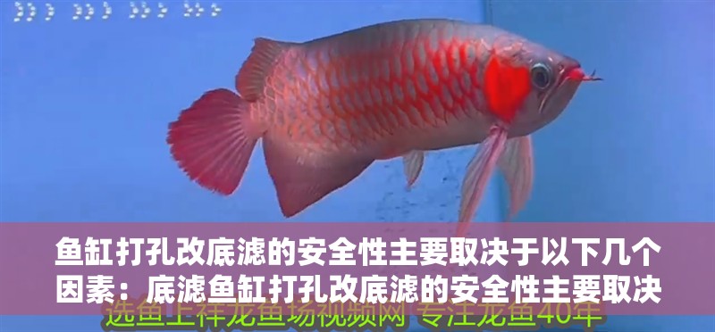 魚缸打孔改底濾的安全性主要取決于以下幾個因素：底濾魚缸打孔改底濾的安全性主要取決于以下幾個因素