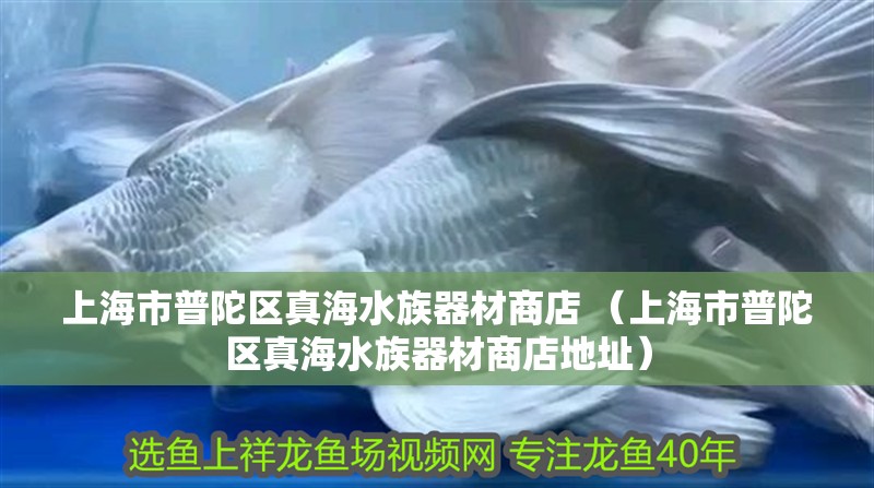 上海市普陀區真海水族器材商店 （上海市普陀區真海水族器材商店地址）