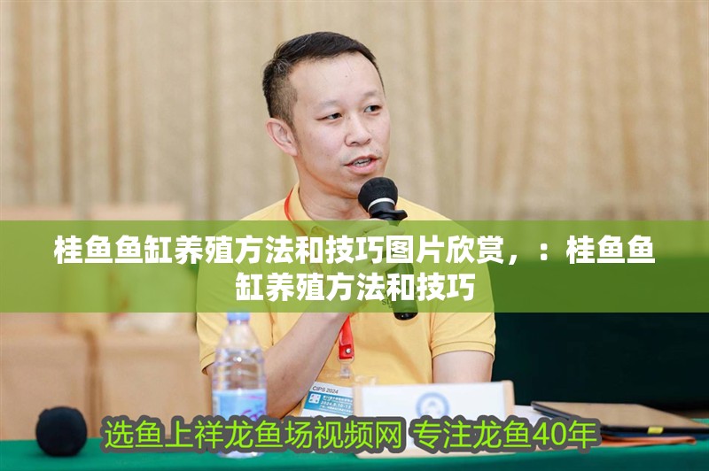 桂魚(yú)魚(yú)缸養(yǎng)殖方法和技巧圖片欣賞，：桂魚(yú)魚(yú)缸養(yǎng)殖方法和技巧