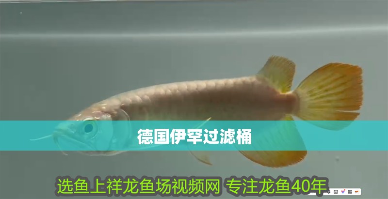 德國伊罕過濾桶