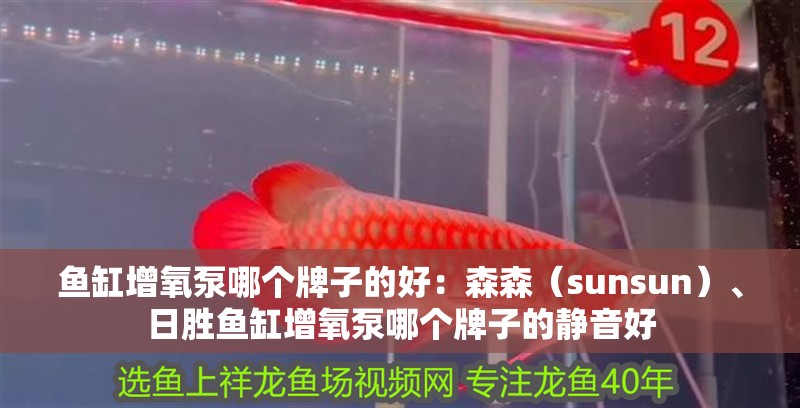 魚缸增氧泵哪個牌子的好：森森（sunsun）、日勝魚缸增氧泵哪個牌子的靜音好