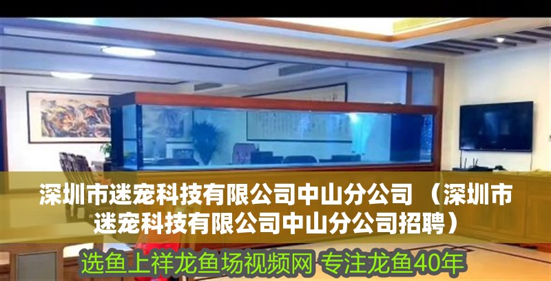 深圳市迷寵科技有限公司<strong><mark>中山</mark></strong>分公司 （深圳市迷寵科技有限公司<strong><mark>中山</mark></strong>分公司招聘）