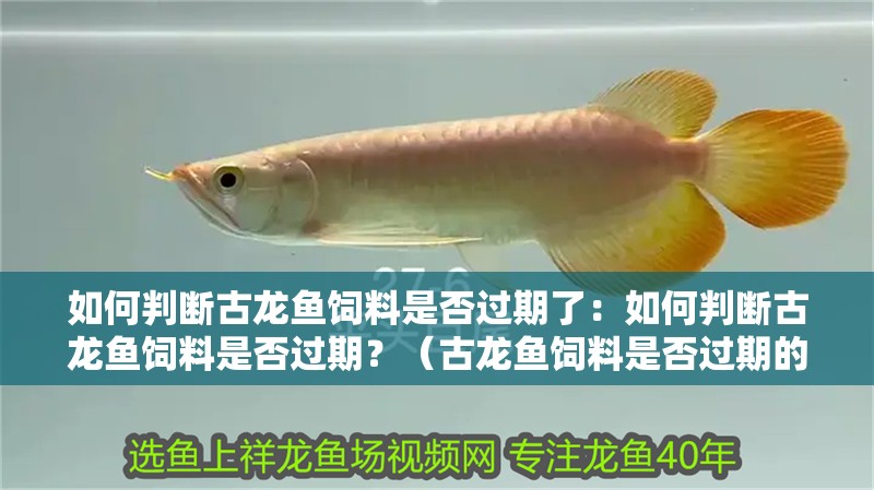 如何判斷古龍魚飼料是否過期了：如何判斷古龍魚飼料是否過期？（古龍魚飼料是否過期的重要依據，如何判斷古龍魚飼料是否過期）