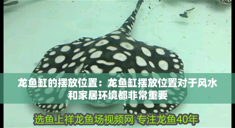 龍魚干蝦有營養嗎 龍魚缸的擺放位置:龍魚缸擺放位置對于風水和家居環境都非常重要 魚缸百科 龍魚缸的擺放位置:龍魚缸擺放位置對于風水和家居環境都非常重要 龍魚缸的擺放位置:龍魚缸擺放位置對于風水和家居環境都非常重要 魚缸百科