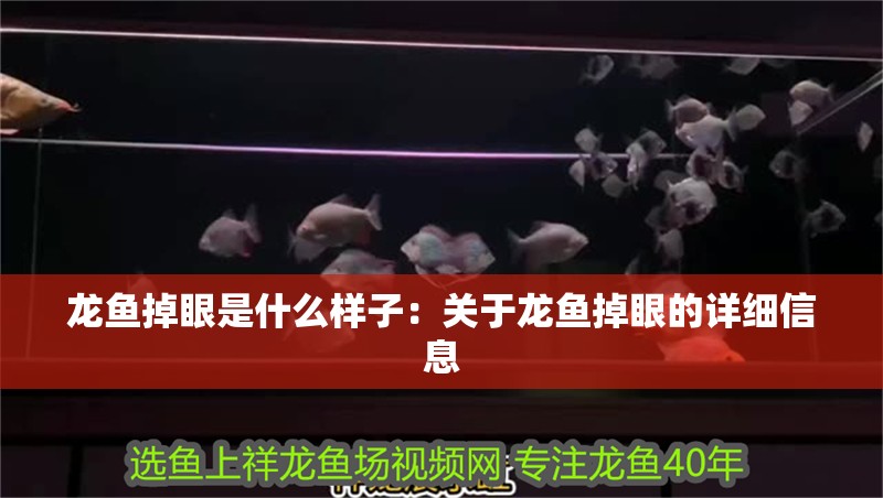 龍魚掉眼是什么樣子：關于龍魚掉眼的詳細信息