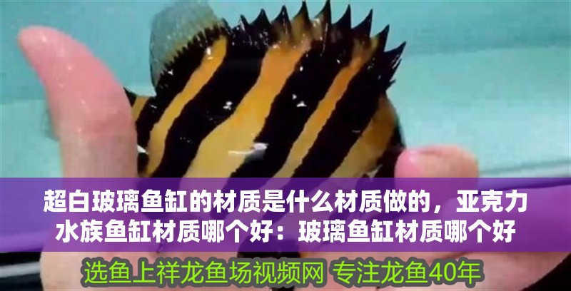 超白玻璃魚缸的材質是什么材質做的，亞克力水族魚缸材質哪個好：玻璃魚缸材質哪個好