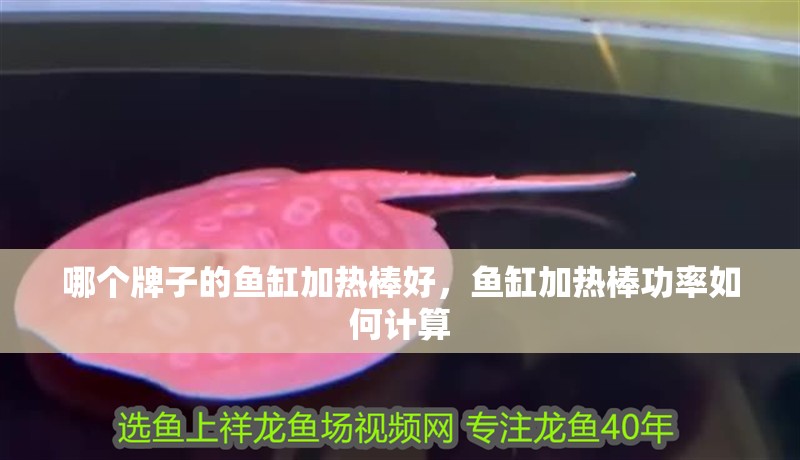 哪個(gè)牌子的魚(yú)缸加熱棒好，魚(yú)缸加熱棒功率如何計(jì)算