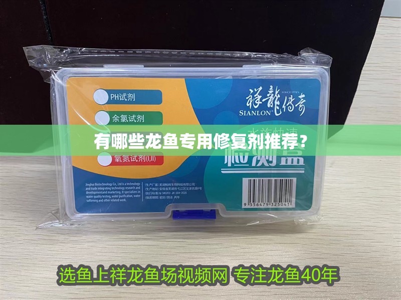 有哪些龍魚專用修復劑推薦？