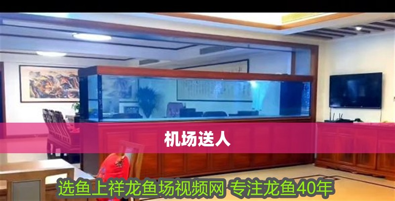 機(jī)場(chǎng)送人