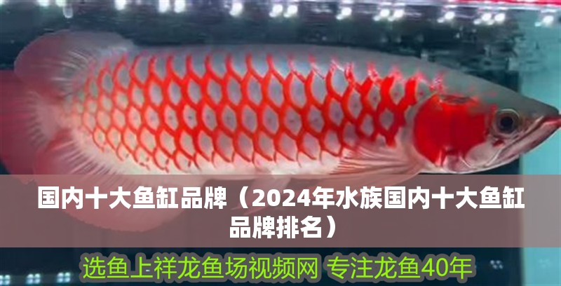 國內(nèi)十大魚缸品牌（2024年水族國內(nèi)十大魚缸品牌排名）