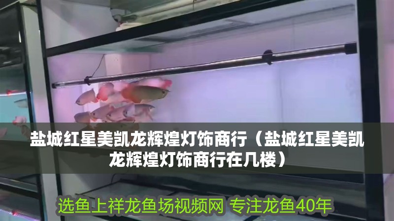 鹽城紅星美凱龍輝煌燈飾商行（鹽城紅星美凱龍輝煌燈飾商行在幾樓）