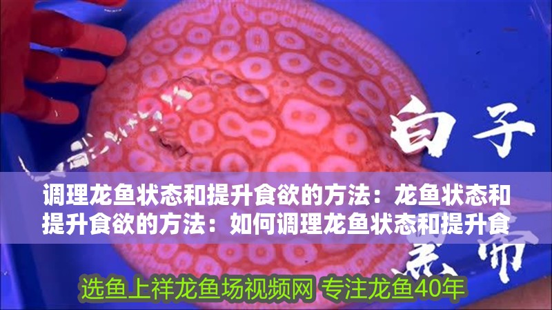 調理龍魚狀態和提升食欲的方法：龍魚狀態和提升食欲的方法：如何調理龍魚狀態和提升食欲