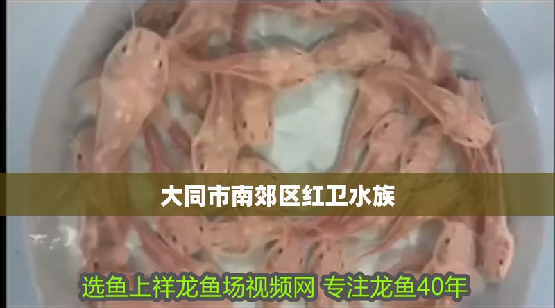 大同市<strong><mark>南郊</mark></strong>區(qū)紅衛(wèi)水族
