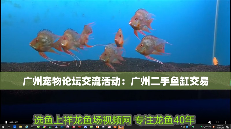廣州寵物論壇交流活動(dòng)：廣州二手魚缸交易