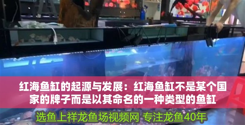 紅海魚缸的起源與發展：紅海魚缸不是某個國家的牌子而是以其命名的一種類型的魚缸