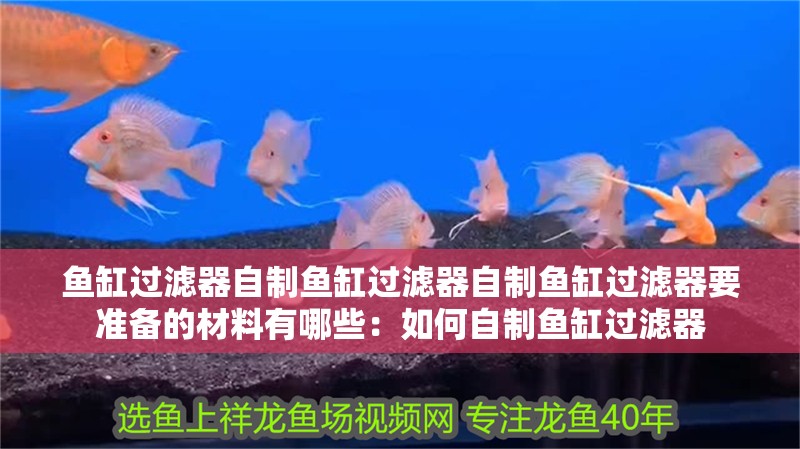 魚缸過濾器自制魚缸過濾器自制魚缸過濾器要準(zhǔn)備的材料有哪些：如何自制魚缸過濾器