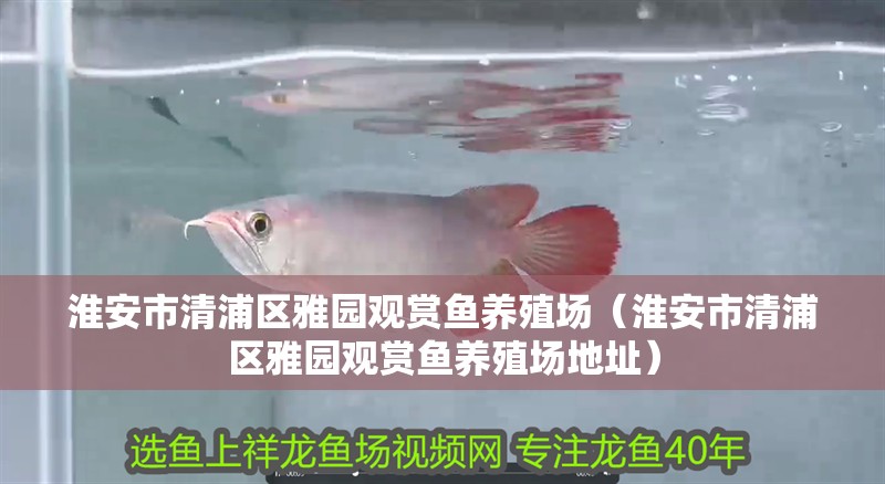 淮安市清浦區雅園觀賞魚養殖場（淮安市清浦區雅園觀賞魚養殖場地址）