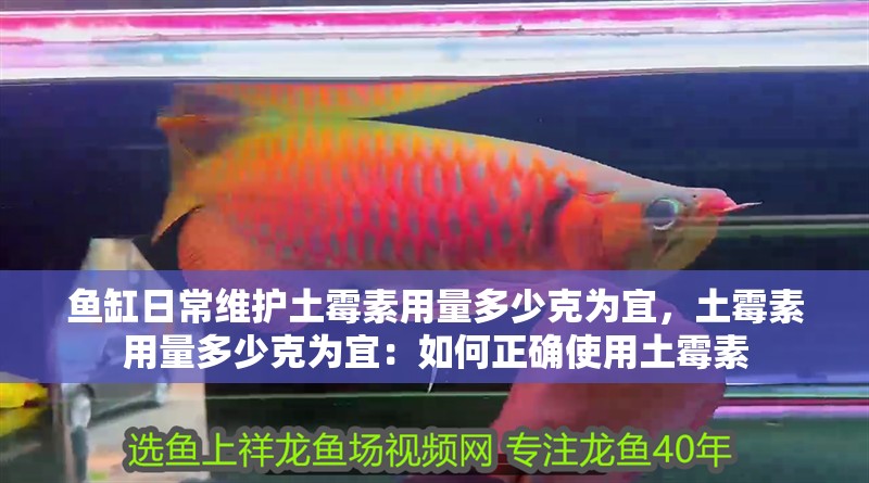 魚缸日常維護土霉素用量多少克為宜，土霉素用量多少克為宜：如何正確使用土霉素