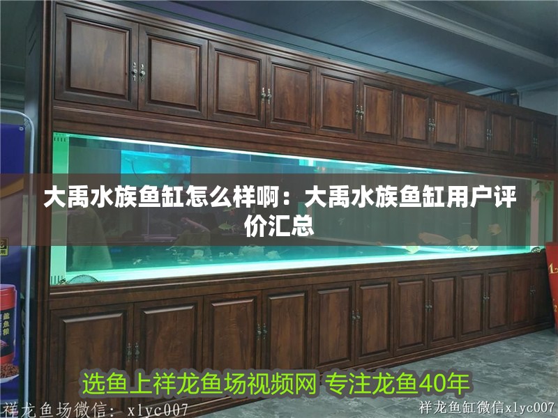 大禹水族魚缸怎么樣啊：大禹水族魚缸用戶評價匯總