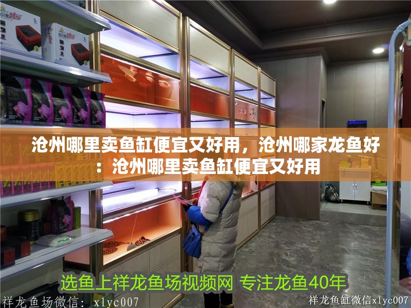 滄州哪里賣魚缸便宜又好用，滄州哪家龍魚好：滄州哪里賣魚缸便宜又好用