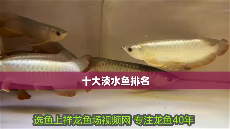 十大淡水魚排名