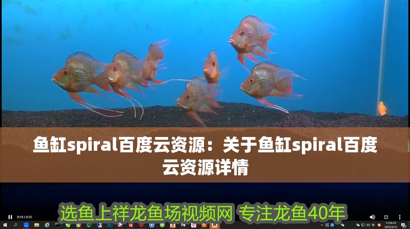 魚缸spiral百度云資源：關(guān)于魚缸spiral百度云資源詳情
