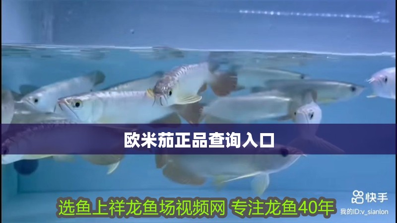 歐米茄正品查詢入口