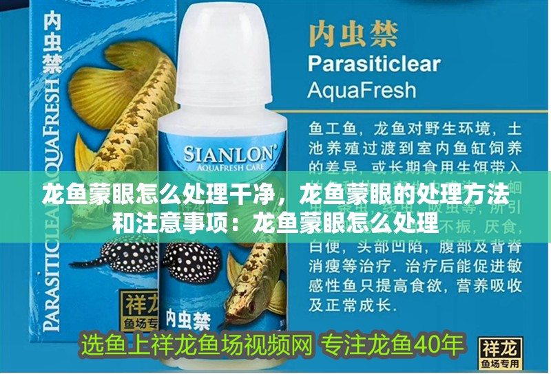 龍魚蒙眼怎么處理干凈，龍魚蒙眼的處理方法和注意事項：龍魚蒙眼怎么處理