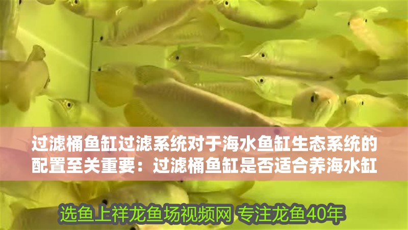 魚缸用增氧泵價格是多少:魚缸增氧機-xtrac增氧機-xtrac增氧機 過濾桶魚缸過濾系統對于海水魚缸生態系統的配置至關重要:過濾桶魚缸是否適合養海水缸 魚缸百科 過濾桶魚缸過濾系統對于海水魚缸生態系統的配置至關重要:過濾桶魚缸是否適合養海水缸 過濾桶魚缸過濾系統對于海水魚缸生態系統的配置至關重要:過濾桶魚缸是否適合養海水缸 魚缸百科