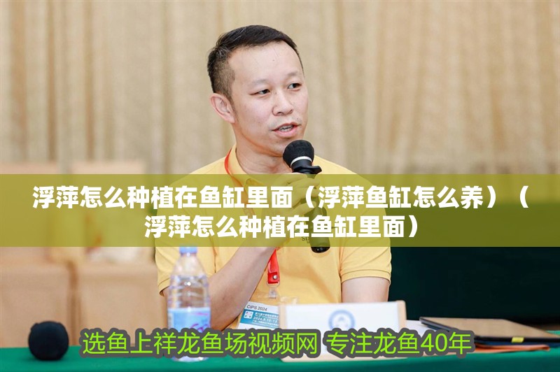 浮萍怎么種植在魚缸里面（浮萍魚缸怎么養）（浮萍怎么種植在魚缸里面）