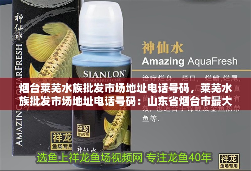 龍魚干蝦有營養嗎 煙臺萊蕪水族批發市場地址電話號碼,萊蕪水族批發市場地址電話號碼:山東省煙臺市最大的批發市場 魚缸百科 煙臺萊蕪水族批發市場地址電話號碼,萊蕪水族批發市場地址電話號碼:山東省煙臺市最大的批發市場 煙臺萊蕪水族批發市場地址電話號碼,萊蕪水族批發市場地址電話號碼:山東省煙臺市最大的批發市場 魚缸百科