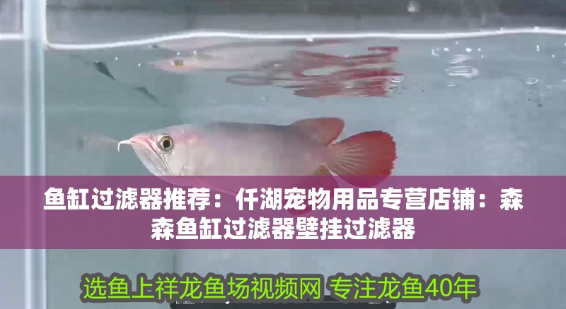 魚缸過濾器推薦：仟湖寵物用品專營店鋪：森森魚缸過濾器壁掛過濾器