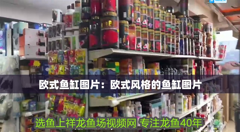 歐式魚缸圖片：歐式風格的魚缸圖片