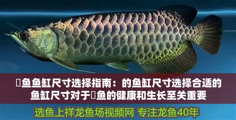 魟魚魚缸尺寸選擇指南：的魚缸尺寸選擇合適的魚缸尺寸對于魟魚的健康和生長至關(guān)重要