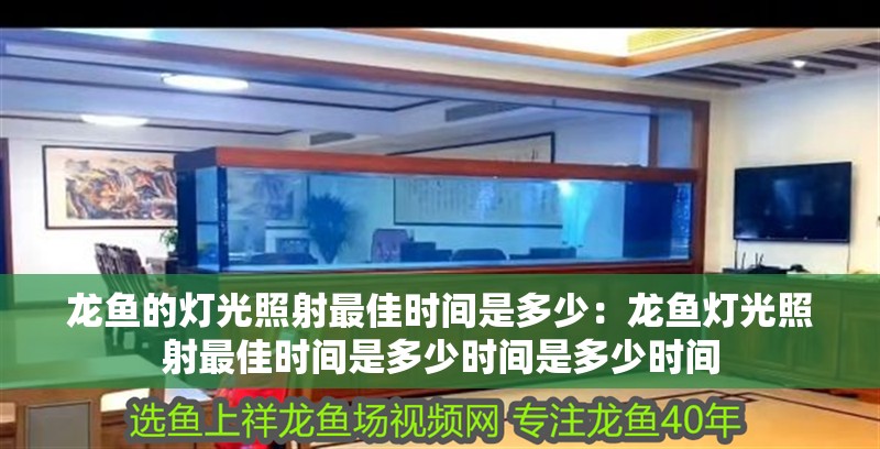 龍魚的燈光照射最佳時間是多少：龍魚燈光照射最佳時間是多少時間是多少時間